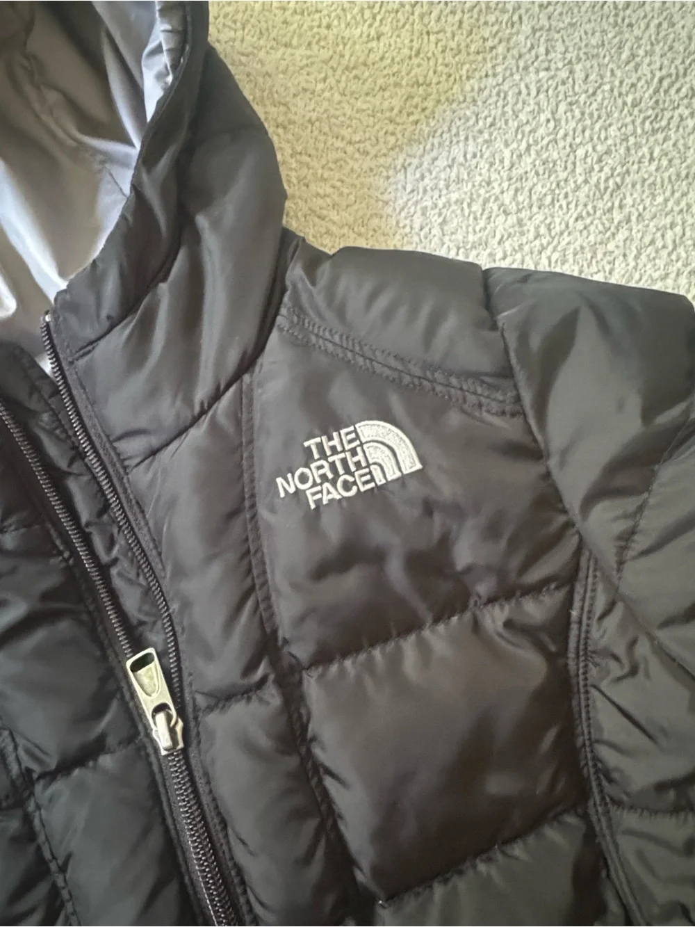 The North Face Black Kids Puffer Jacket with Hood
